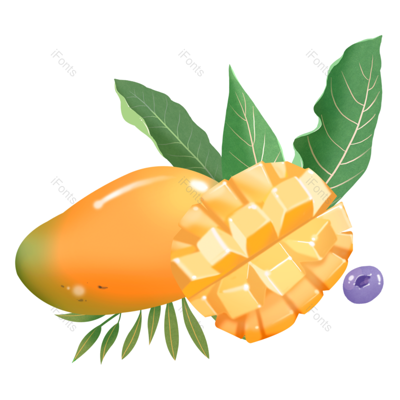 夏至图片,夏天元素,水果PNG,树叶免抠素材